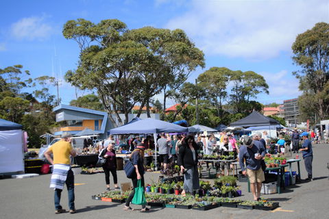 Marine Rescue Ulladulla Wharf Markets - Restaurant Guide 1