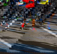 Moruya Town to Surf Fun Run - Restaurant Guide