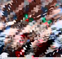 Mount Druitt Christmas Light Up Concert - Restaurant Guide