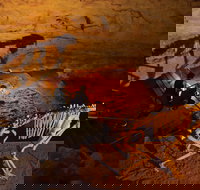 Naracoorte World Heritage Festival and Run - Restaurant Guide