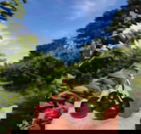 National Cherry Festival - Restaurant Guide