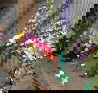 Neville Show - Restaurant Guide