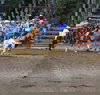 North Queensland Elite Rodeo - Restaurant Guide