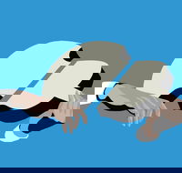 Petrenko's Shostakovich - Morning Symphony - Restaurant Guide