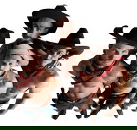 RAILED by Head First Acrobats - Restaurant Guide