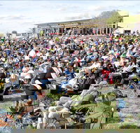 Riverfest Food Wine and Music Festival - Restaurant Guide