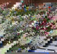 Sapphire Coast Orchid Club Spring Orchid Show - Restaurant Guide