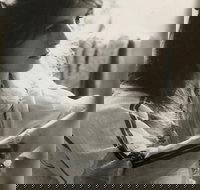 Shimmering The Mona Hessing Tribute Project - Restaurant Guide