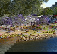 Shoalhaven River Festival - Restaurant Guide