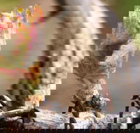 Spring Seasonal Lunch - Restaurant Guide