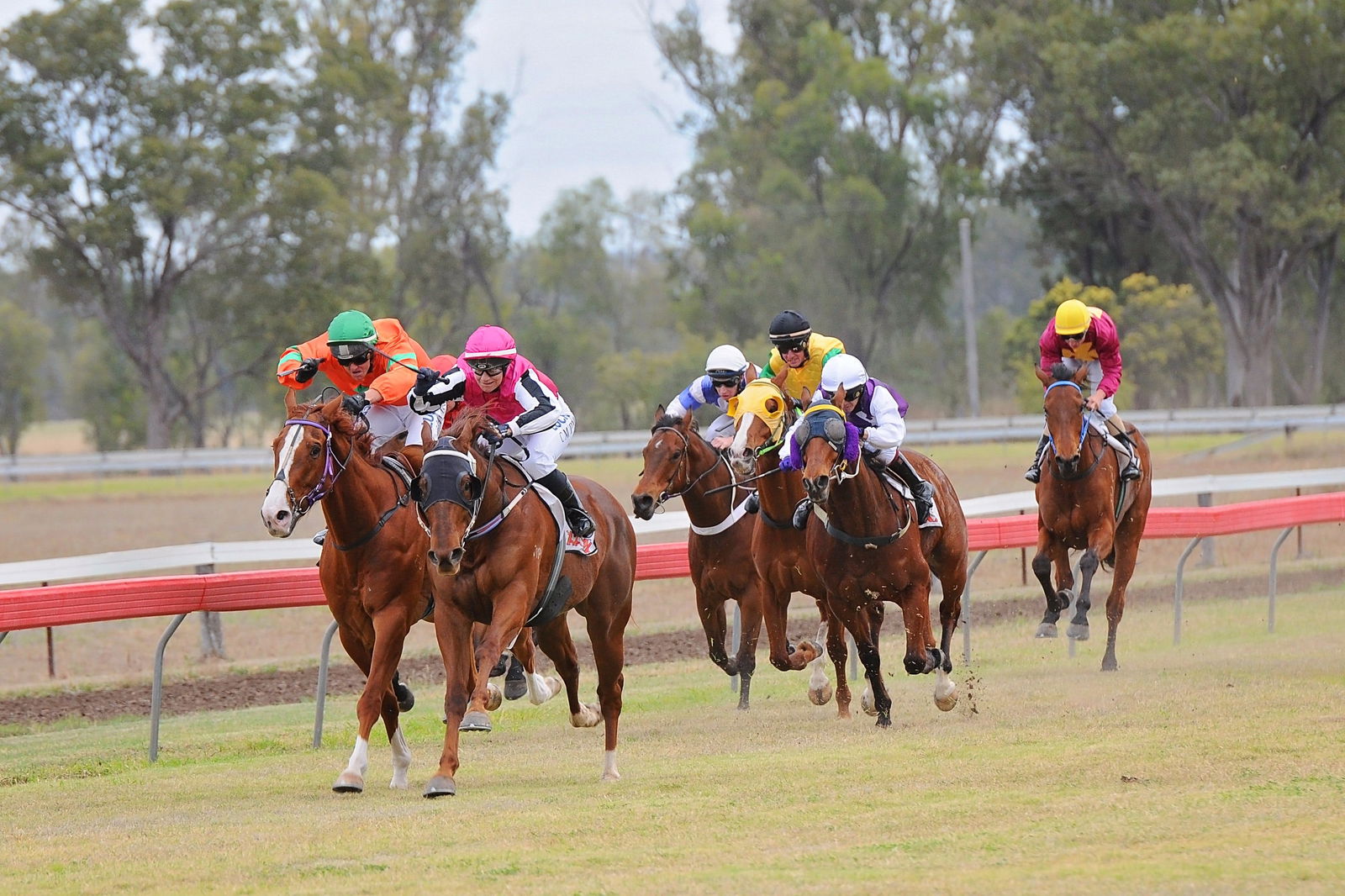 Thangool QLD Restaurant Guide