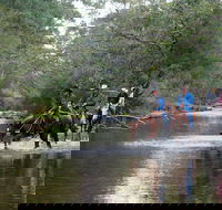 The Man From Snowy River Bush Festival - Restaurant Guide