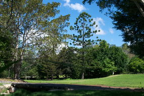 Woodford Entertainment Venues Restaurant Guide Restaurant Guide