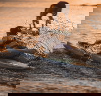 The Bay Games - Jervis Bay - Restaurant Guide