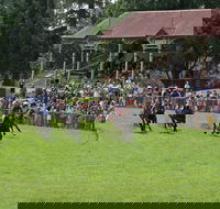 Tumut Boxing Day Races - Restaurant Guide