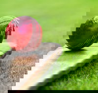 Under 13 14 15 Cricket Youth Championships - Restaurant Guide