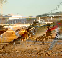 Walgett Charity Bushman's Carnival Rodeo and Campdraft - Restaurant Guide