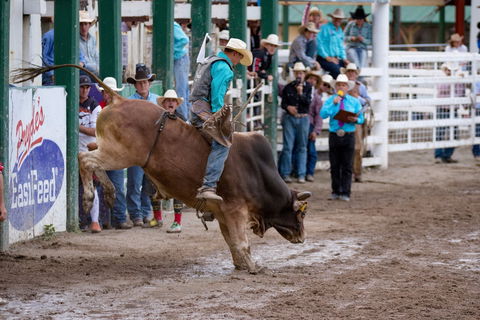 Warwick Rodeo National APRA National Finals And Warwick Gold Cup Campdraft - Restaurant Guide 1