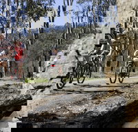 Wollombi Wild Ride Mountain Bike Ride