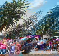 Annual Easter Show  Postponed  - Restaurant Guide