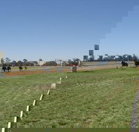 Balranald Races -Derby Day