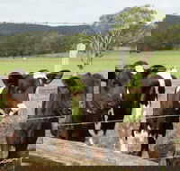 Bandon Grove Farm Tours - Restaurant Guide