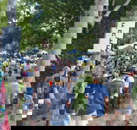 Bellingen Community Markets - Restaurant Guide