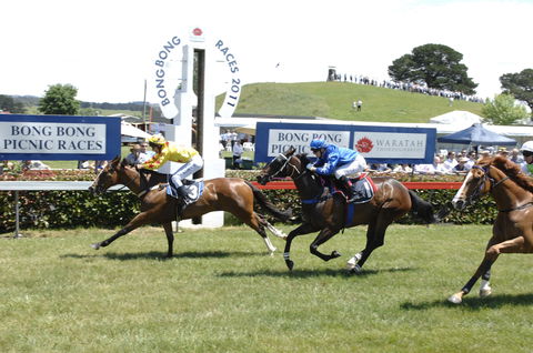 Bong Bong Picnic Races - Restaurant Guide 0