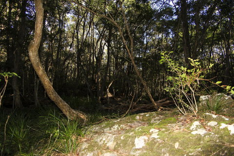 Bottlebutt Bash Trail Run - Restaurant Guide 1