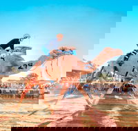Boulia Camel Races - Restaurant Guide