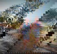 Cape Pallarenda Trail Run 2020 - Restaurant Guide