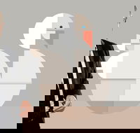 Classics Unwrapped 3 Animals - Restaurant Guide