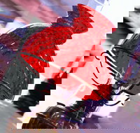 Collectable Sundays - Bus Depot Markets - Restaurant Guide