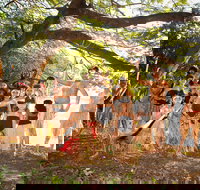 Cooktown and Cape York Expo 2021