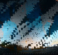 Cootamundra Cup - Restaurant Guide