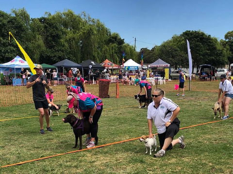 Dogs In The Park Shell Harbour - Restaurant Guide 1