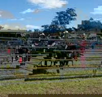 Dungog Team Penning - Restaurant Guide