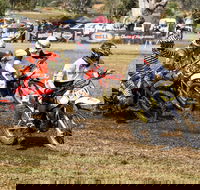 Dust Hustle Queensland Moto Park - Restaurant Guide