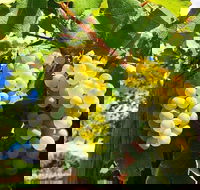 GetawaysSA Bringing Barossa To Your Door - Restaurant Guide