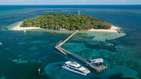 Great Adventures Green Island Ocean Swim - Restaurant Guide 0