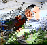 Greater Whitsunday Farmers Markets - Restaurant Guide