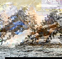 Gundagai Rodeo - Restaurant Guide