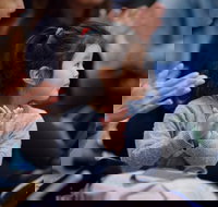 Jams for Juniors 5 - Pictures at an Exhibition - Restaurant Guide