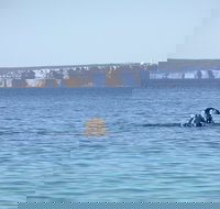 Jervis Bay's Sydney to Hobart Experience - Restaurant Guide