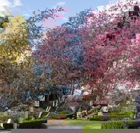 Leura Gardens Festival - Cancelled - Restaurant Guide