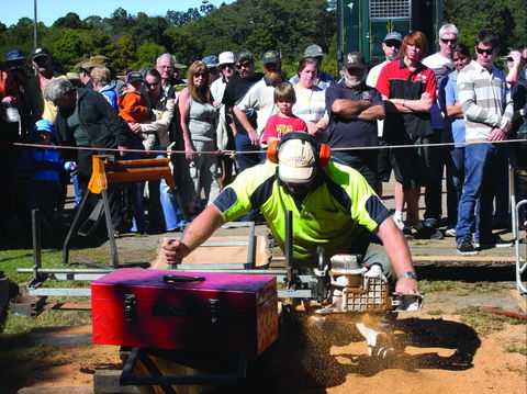 Maleny Wood Expo: From Seed To Fine Furniture - Restaurant Guide 2