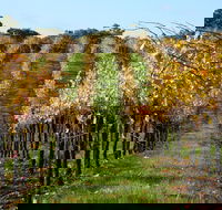 Miners Ridge Wine Tasting - Restaurant Guide