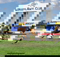 Moree Race Club TAB Race Day - Restaurant Guide
