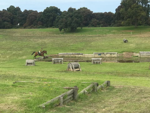 Mount Gambier And District Pony Club Horse Trials 2020 - Restaurant Guide 0