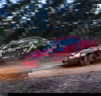 Narooma Forest Rally - Restaurant Guide